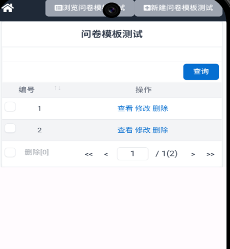 数据列表界面